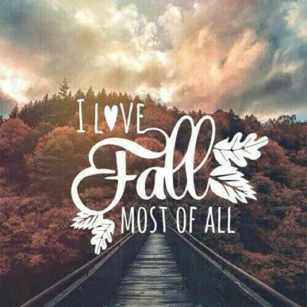 ALLL YOUR FALL DENIM NEEDS RIGHT HERE!!!